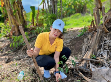 จัดกิจกรรมปลูกต้นไม้ ภายใต้โครงการ &quot;สหกรณ์อาสา ทำความดี ... พารามิเตอร์รูปภาพ 11